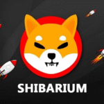 Shiba Inu: Shibarium Surpasses 3.3M Total Transactions and 1.25M Wallets