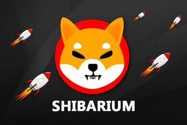 Shiba Inu: Shibarium Surpasses 3.3M Total Transactions and 1.25M Wallets
