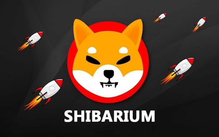 Shiba Inu: Shibarium Surpasses 3.3M Total Transactions and 1.25M Wallets