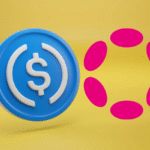 Circle launches USDC on Polkadot