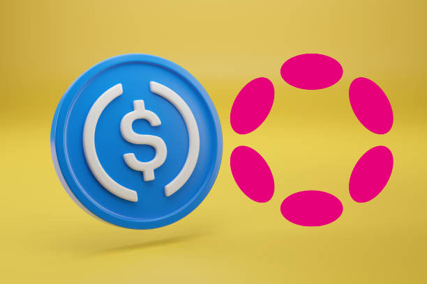Circle launches USDC on Polkadot