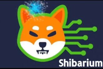 NOWNodes Deploys Shibarium RPC Full Node