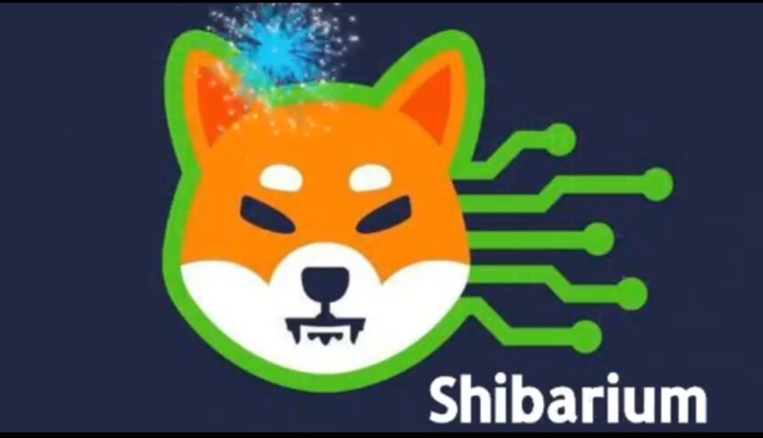 NOWNodes Deploys Shibarium RPC Full Node