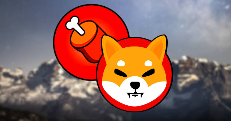 Shiba Inu Team Renounces BONE Contract: Is BONE Listing on Binance Near?