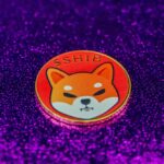 binance Shiba Inu holdings