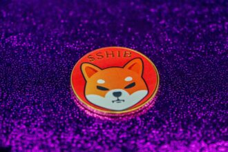 binance Shiba Inu holdings