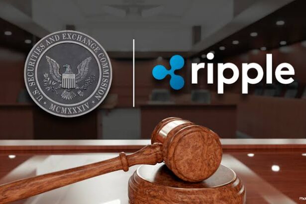 Ripple-SEC case