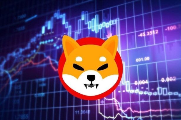 Shiba Inu price analysis