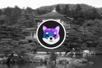 SHIB Drops 20% in 30 Days: Is This A Good Opportunity To Buy SHIB?