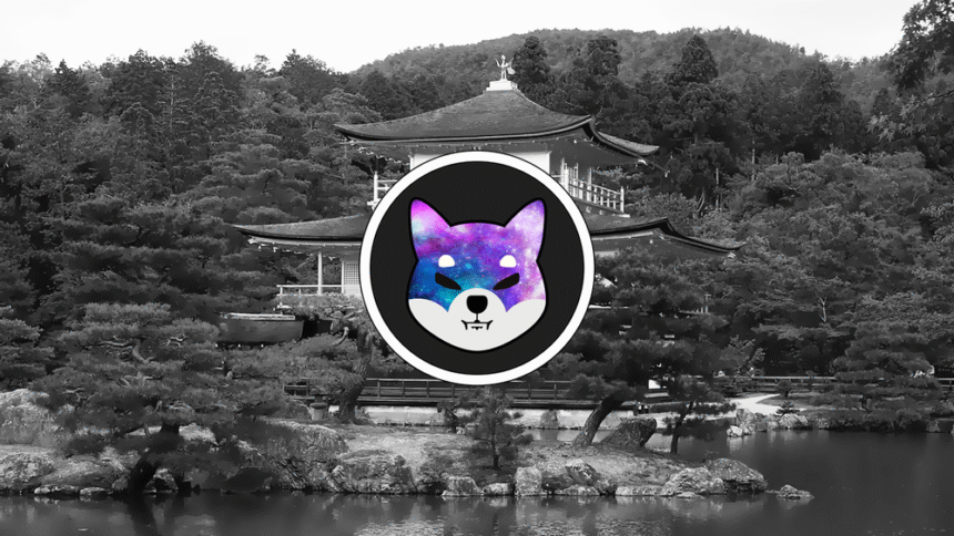 SHIB Drops 20% in 30 Days: Is This A Good Opportunity To Buy SHIB?