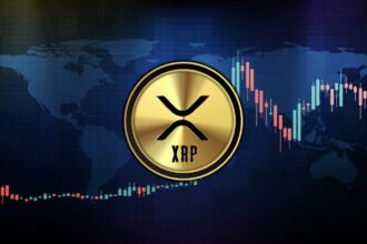 XRP Price Set To Recover Amid Escalating Number of Holders 