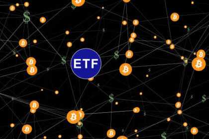 BTC whale activity and spot Bitcoin ETFs