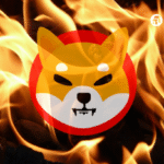 Shiba Inu burn rate