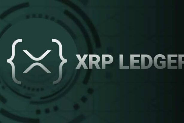 smart contracts on XRP Ledger (XRPL)