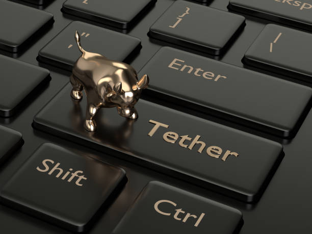 Tether AI wallet development kit