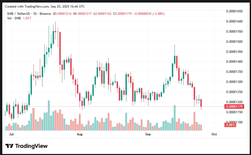 Shiba Inu Price prediction 