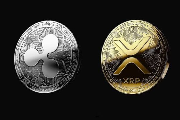 XRP-backed stablecoin
