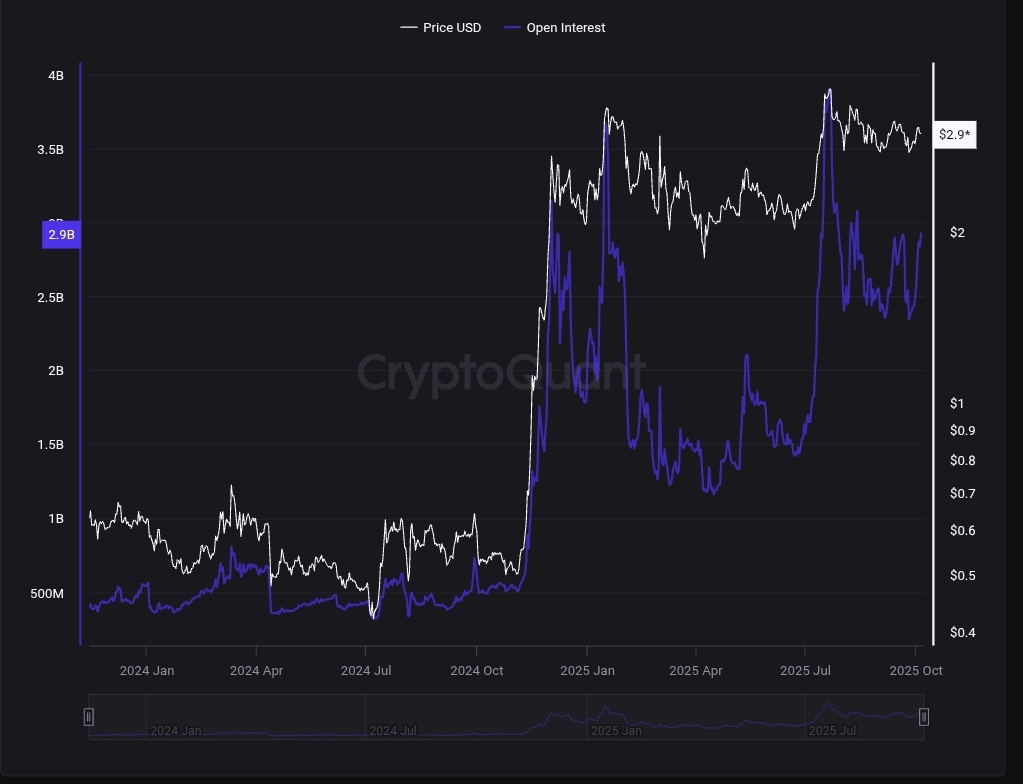 XRP open interest 