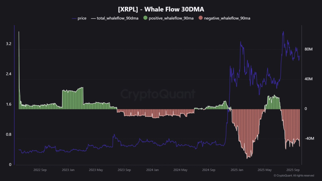 xrp whale flow