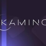 Kamino September 2025 perfomance