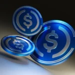 Visa USDC settlement