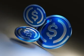 Visa USDC settlement