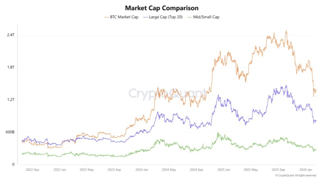 Crypto market cap