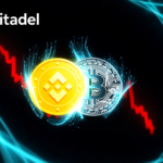 Binance SAFU Bitcoin Holdings